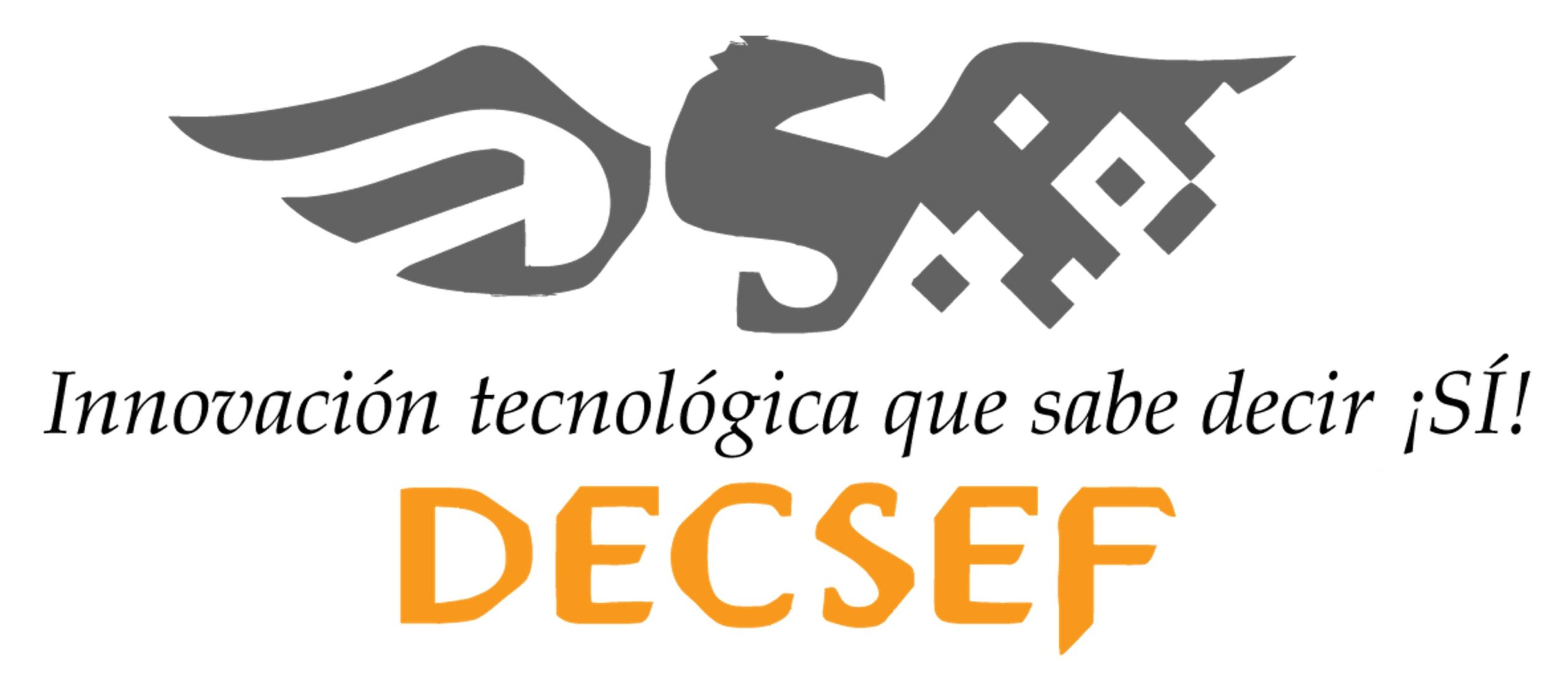 Logo DECSEF
