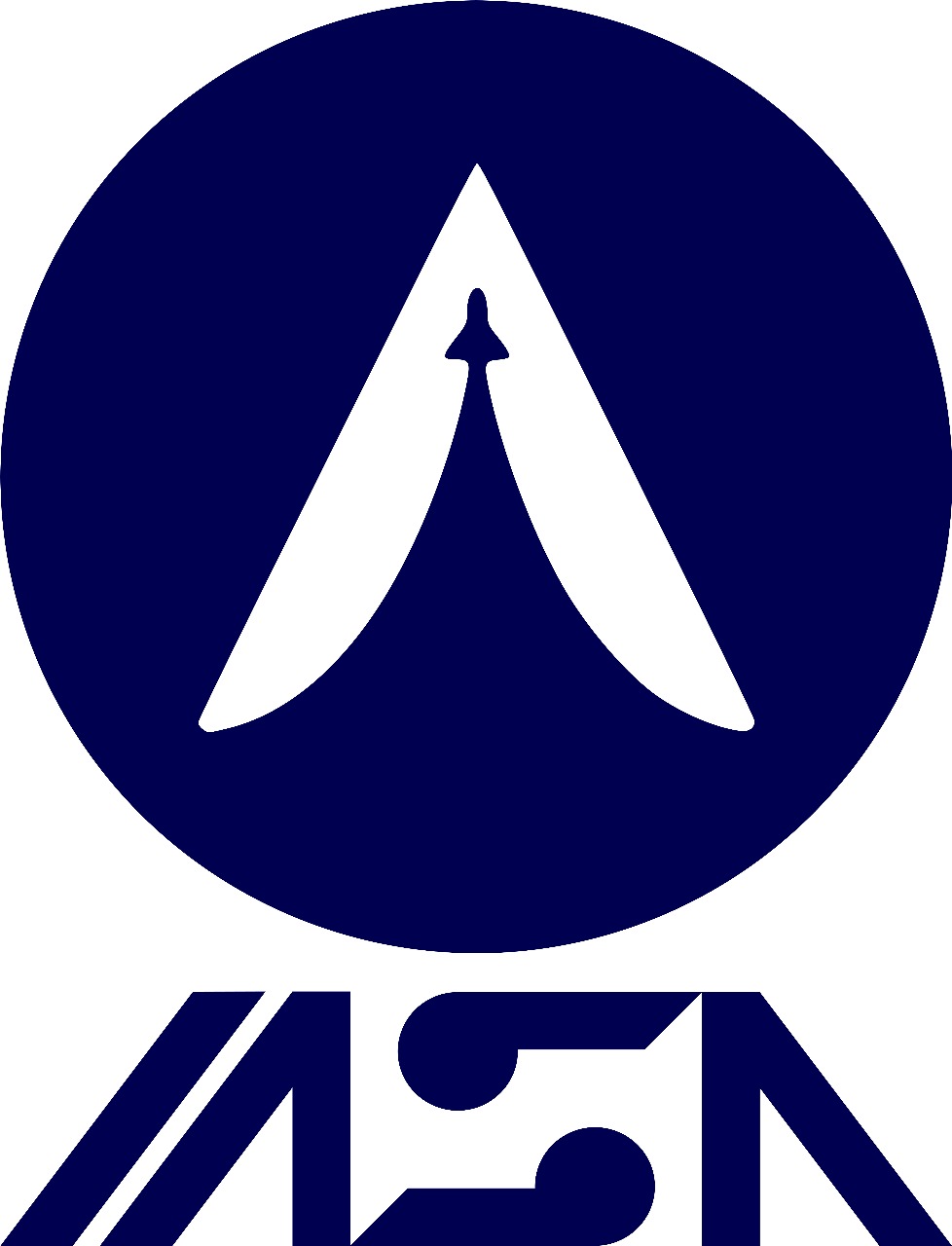Logo Ingeniería Aeroespacial